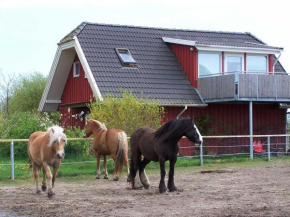 Urlaub auf dem Bauernhof in Kenz-Küstrow
